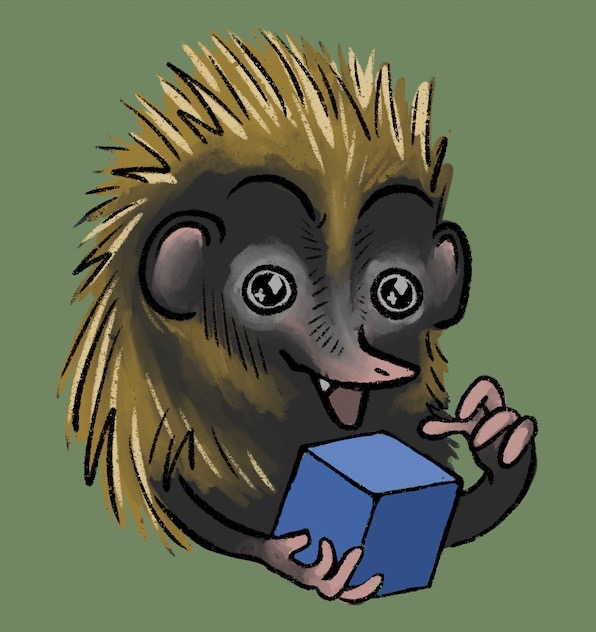 cartoon of an excited lowland streaked tenrec holding a cube